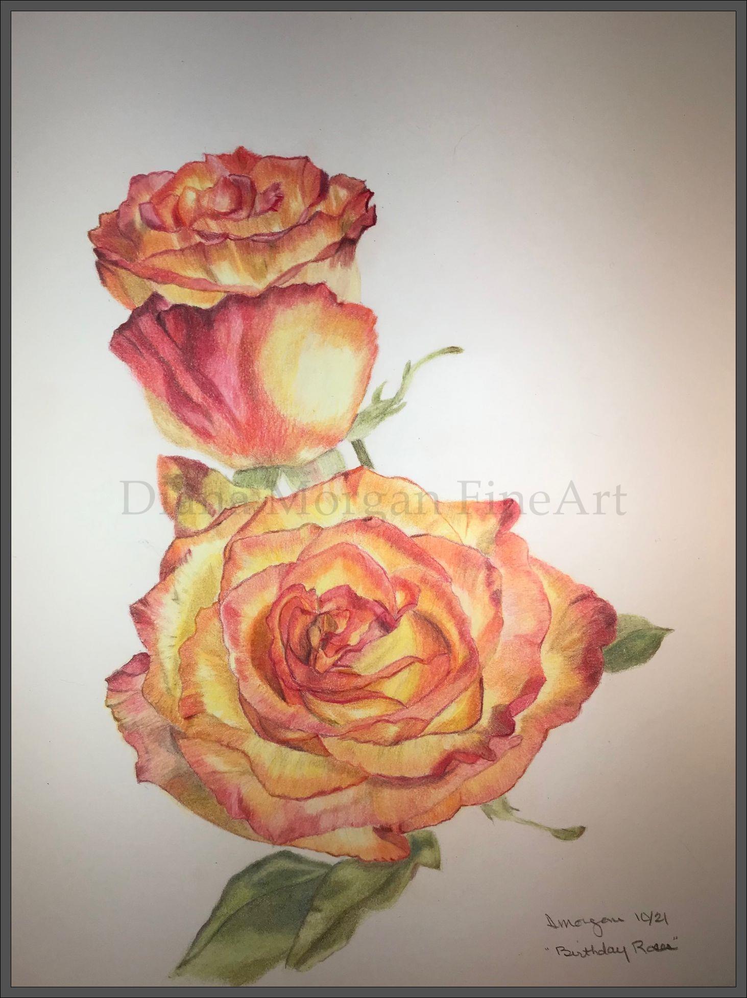 Birthday Roses